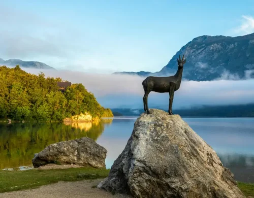 Lake Bohinj – A Jewel of Triglav National Park, Just 10 km from Apartment B8