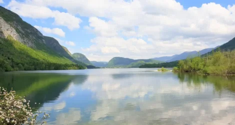 Activities in Bohinj Throughout the Year