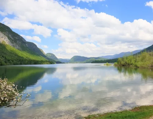 Activities in Bohinj Throughout the Year